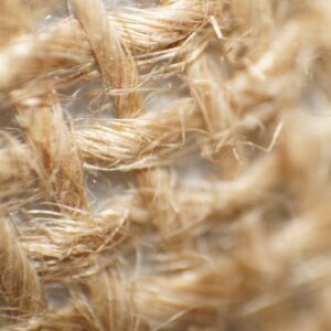 Photo Asbestos fibers