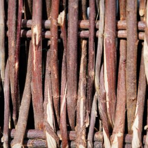 Photo Asbestos fibers