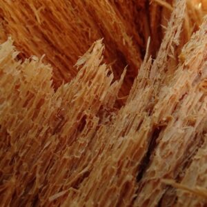 Photo Asbestos fibers