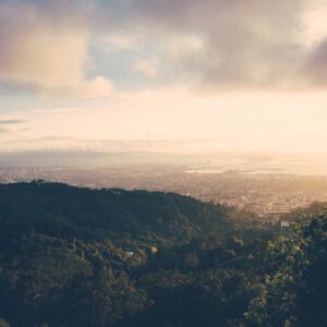 Photo Microscopic view