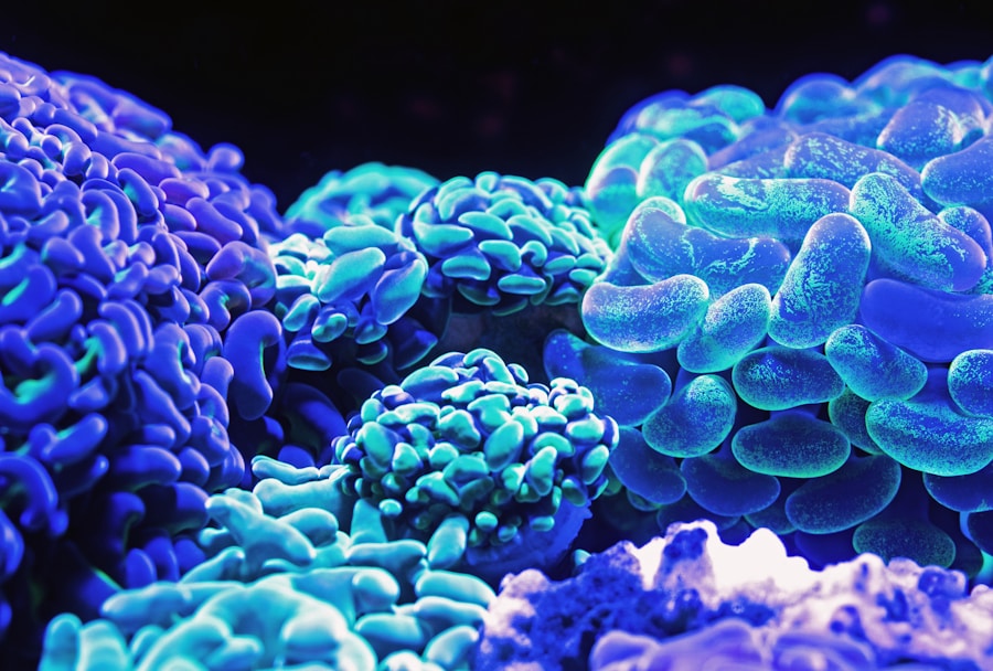 Legal Kaleidoscope: Mesothelioma Cancer Lawyers and the Diverse Spectrum of Cases 2 Legal Kaleidoscope: Mesothelioma Cancer Lawyers and the Diverse Spectrum of Cases