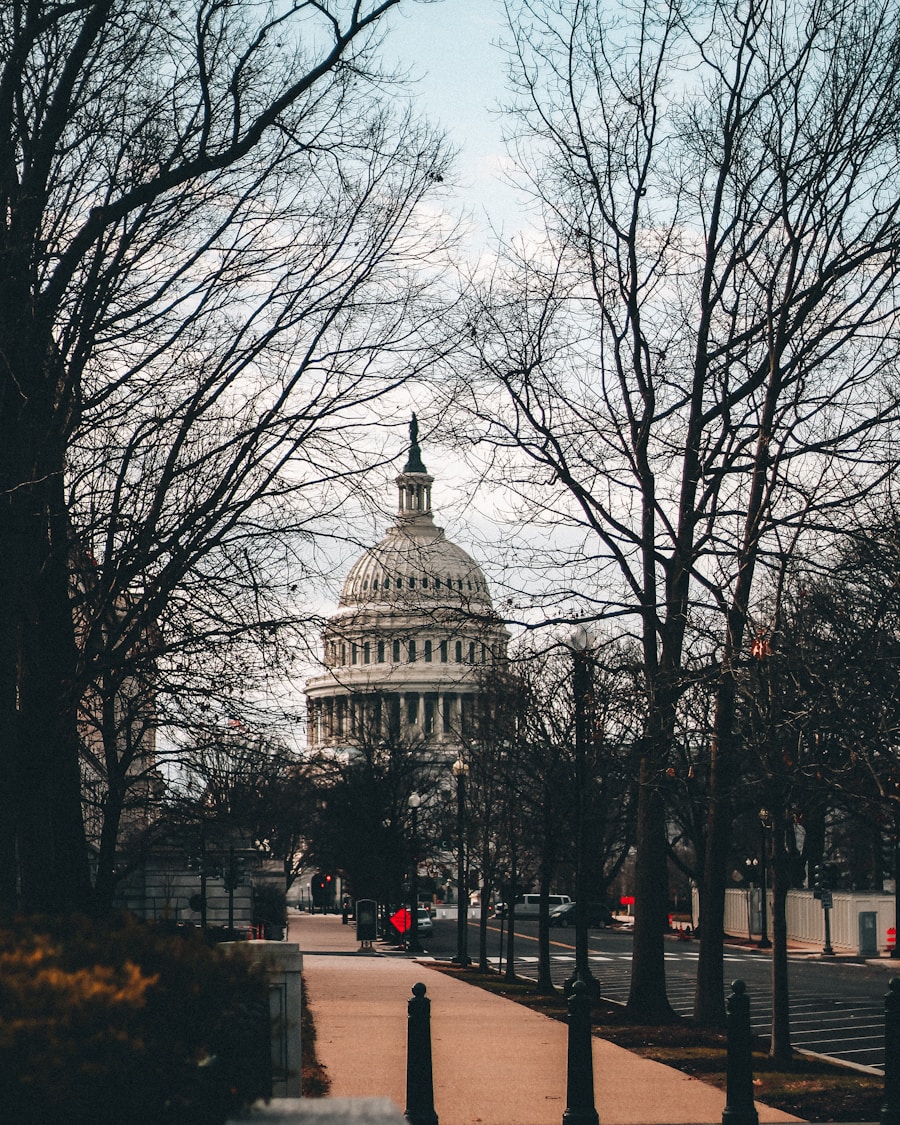 What Role Does Public Policy Advocacy Play in the Work of Mesothelioma Lawyers, and How Does It Impact Their Legal Strategies?