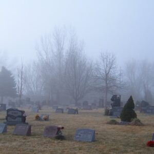 Photo "What Are the Symptoms of Mesothelioma Near Death?"