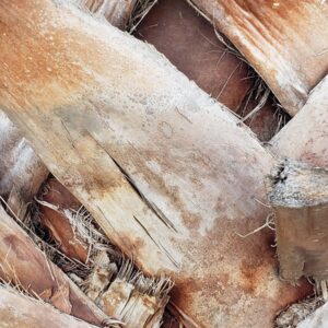 Photo "How Likely is Mesothelioma After Asbestos Exposure?"