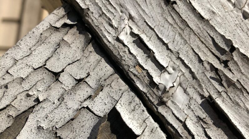 Photo "Can a Lawyer Assist in Identifying All Potential Sources of Asbestos Exposure in a Clients History?"