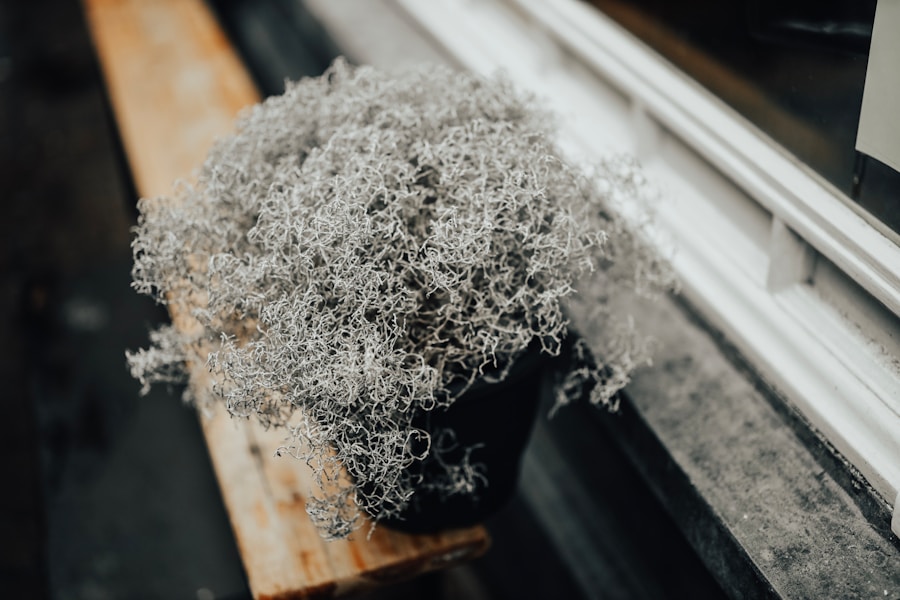 Can a Lawyer Assist in Identifying All Potential Sources of Asbestos Exposure in a Clients History?
