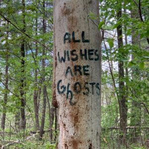 Photo "Who Mostly Gets Mesothelioma?"