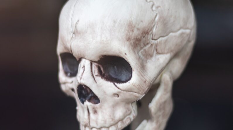 Photo Mesothelioma Cancer Attorney In Macon Georgia