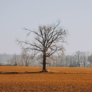 Photo Mesothelioma Cancer Attorney In St Charles Missouri