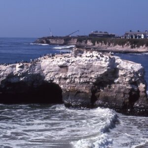 Photo "Mesothelioma Cancer Attorney In Redondo Beach California"