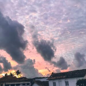 Photo Mesothelioma Cancer Attorney In Boynton Beach Florida