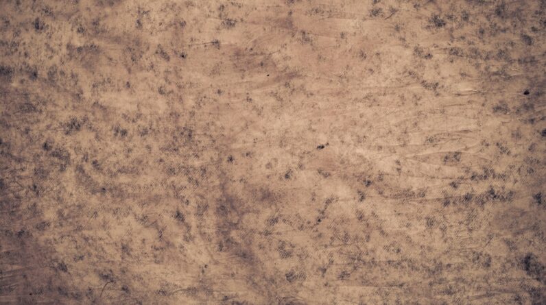 Photo Asbestos fibers