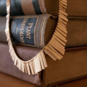 Photo Mesothelioma Attorney