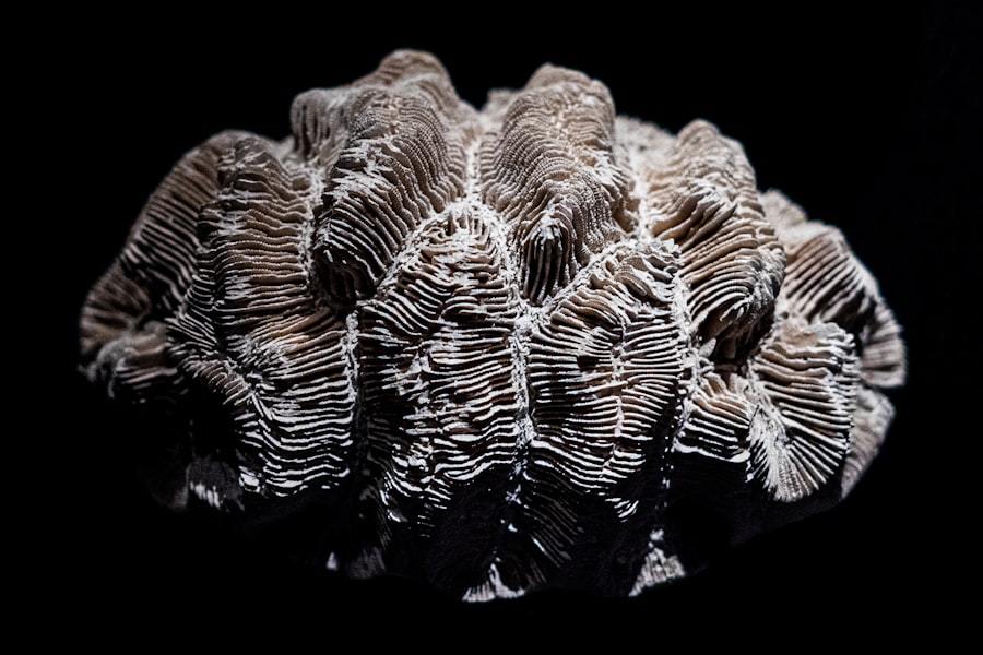 Chandler Az Asbestos Cancer Legal Help 3 Photo Asbestos Cancer Legal Help