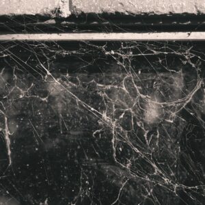 Photo Asbestos Lawyer