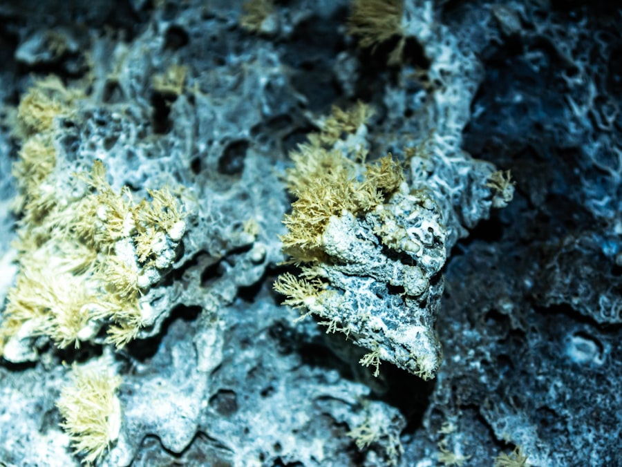 What Companies Caused Asbestos Exposure in Frisco Tx? 3 Photo asbestos exposure Frisco TX