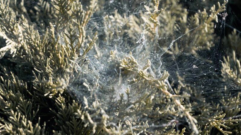 Photo Asbestos Claims