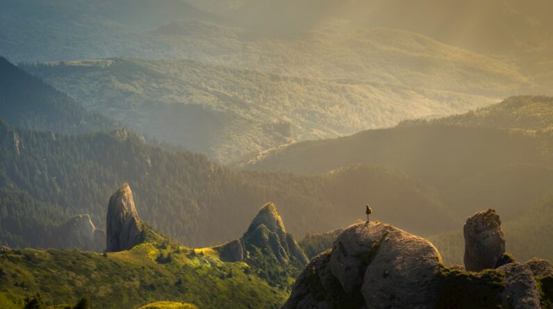 Photo Asbestos Law Firm