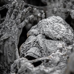 Photo Asbestos Trust Fund Claim Process