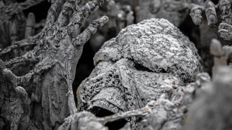 Photo Asbestos Trust Fund Claim Process