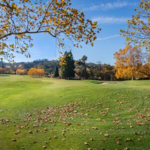 Photo Mesothelioma Attorney