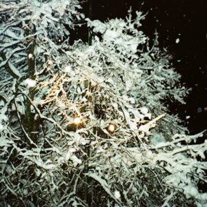 Photo Asbestos Exposure Chandler Az