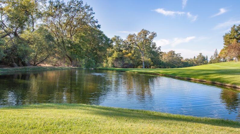 Photo Mesothelioma Attorney