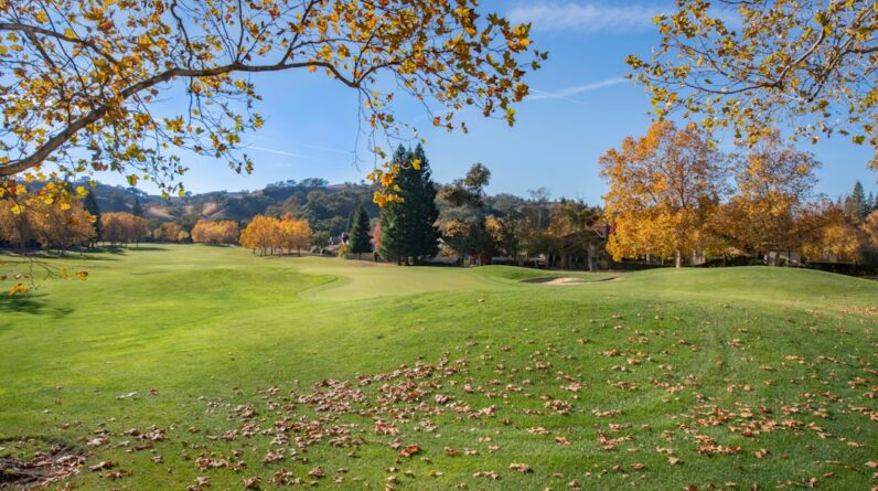 Photo Mesothelioma Attorney